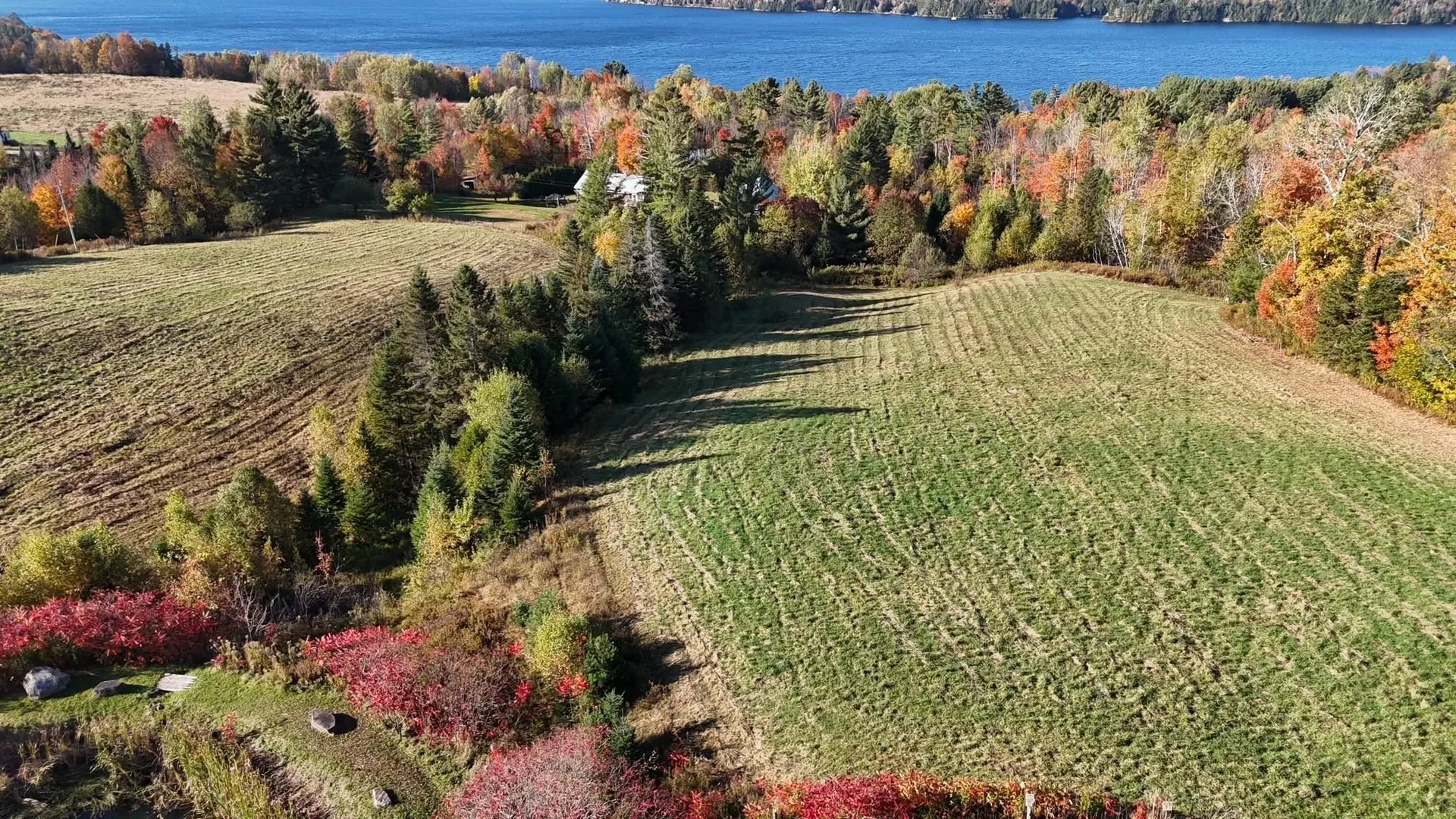 350 Hinton Hill Road Westmore VT 05860