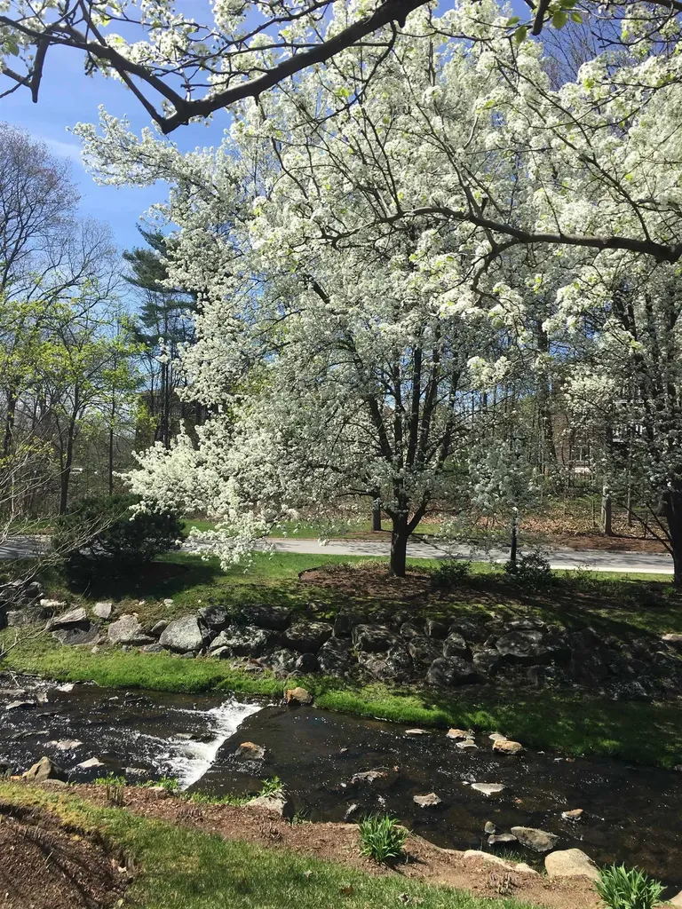 300 River Road Manchester NH 03104