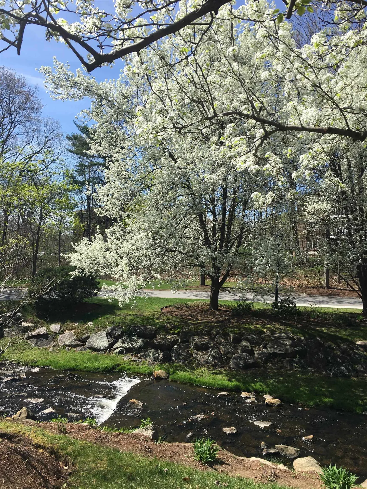 300 River Road Manchester NH 03104