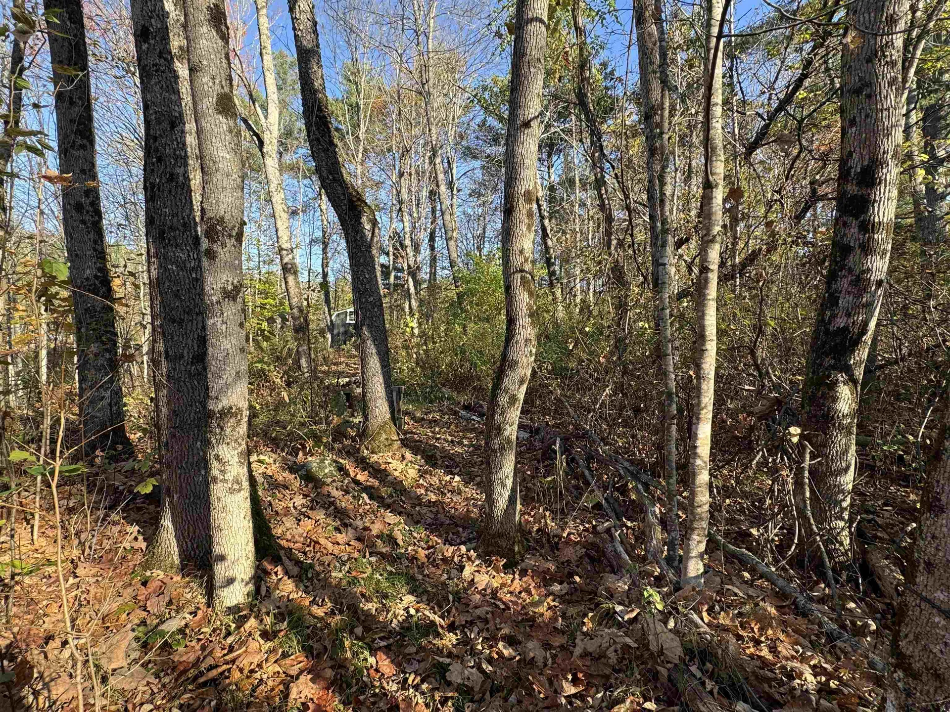 0 Route 25c Piermont NH 03779