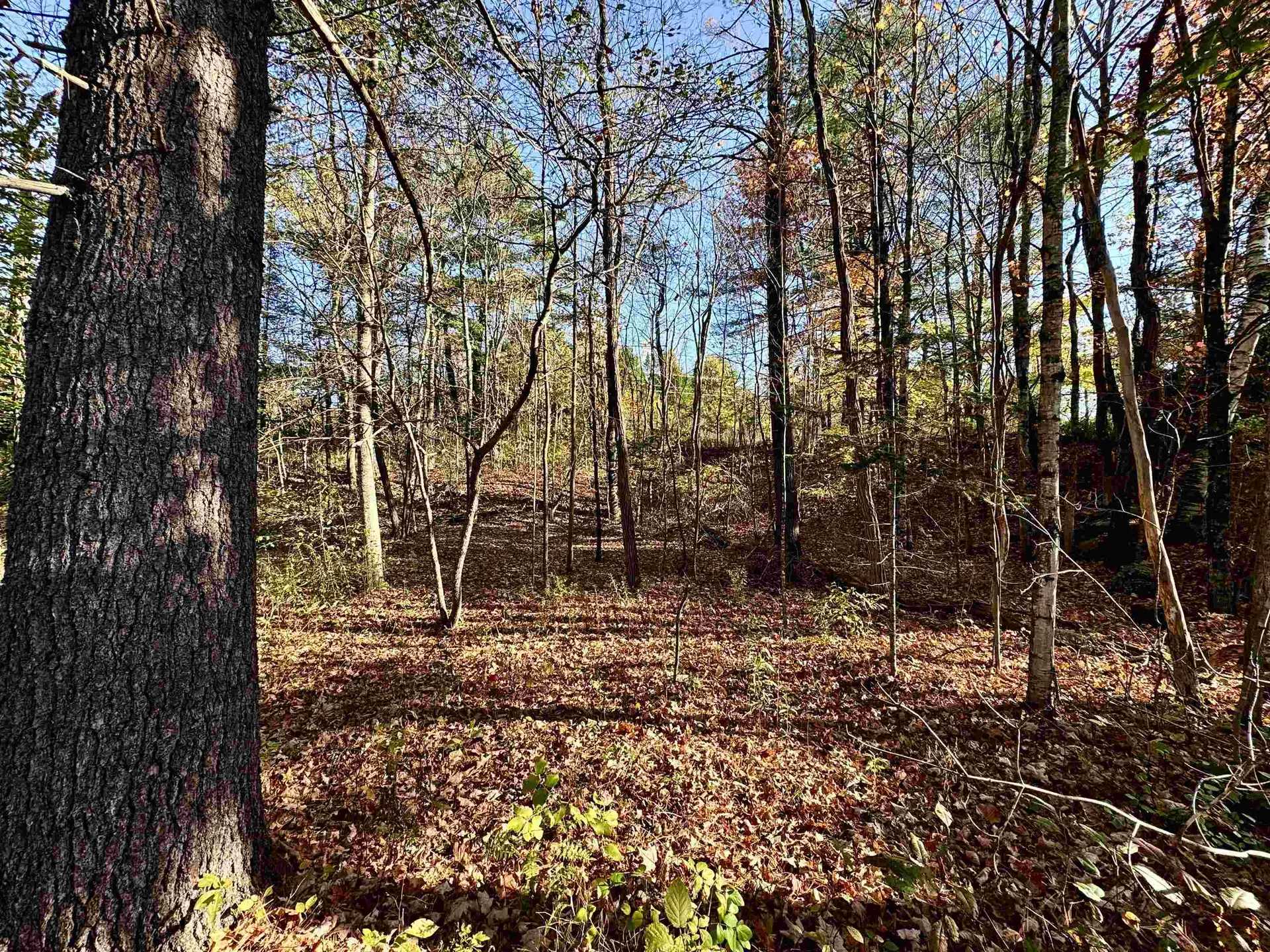 0 Route 25c Piermont NH 03779