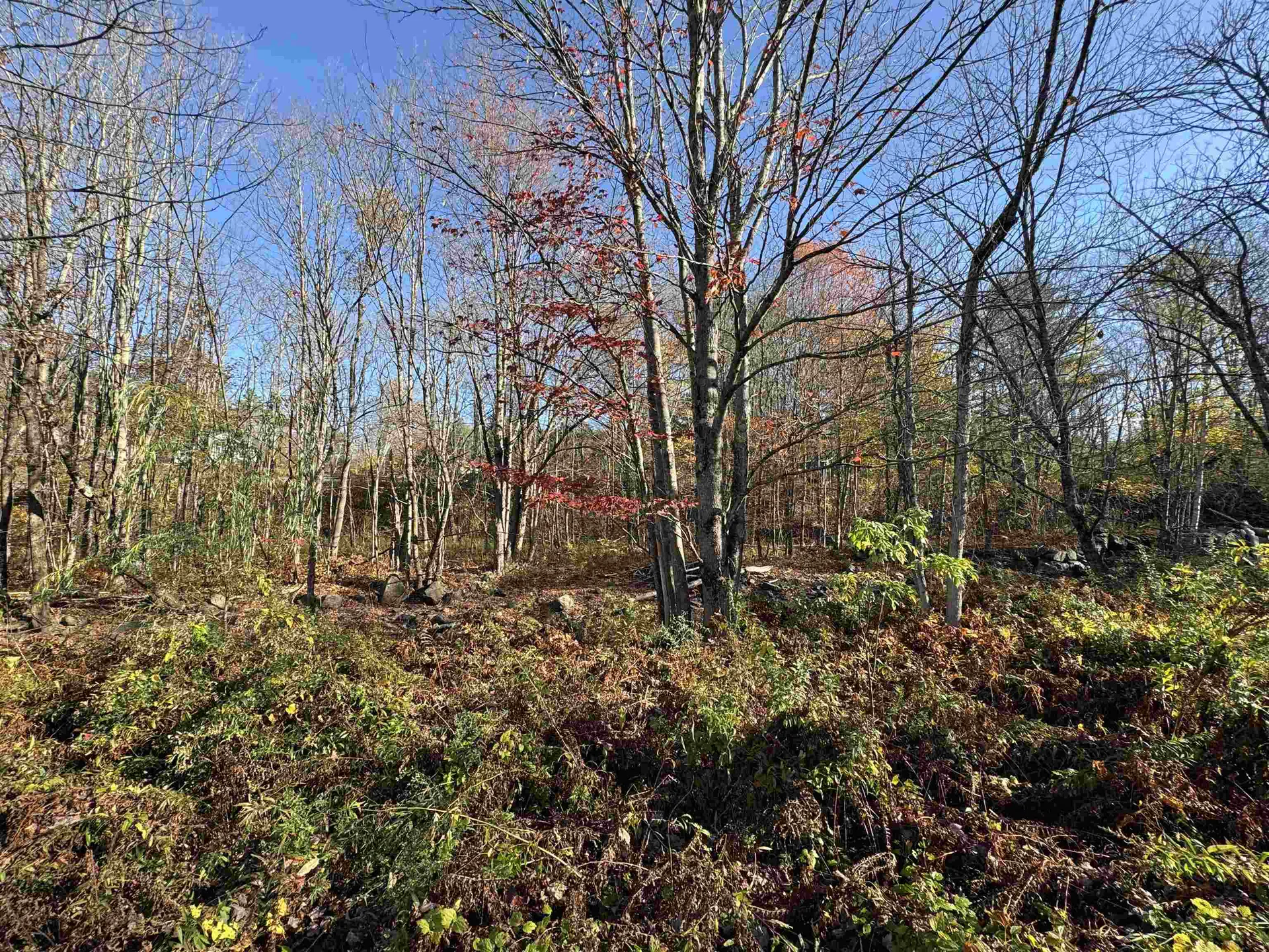 0 Route 25c Piermont NH 03779