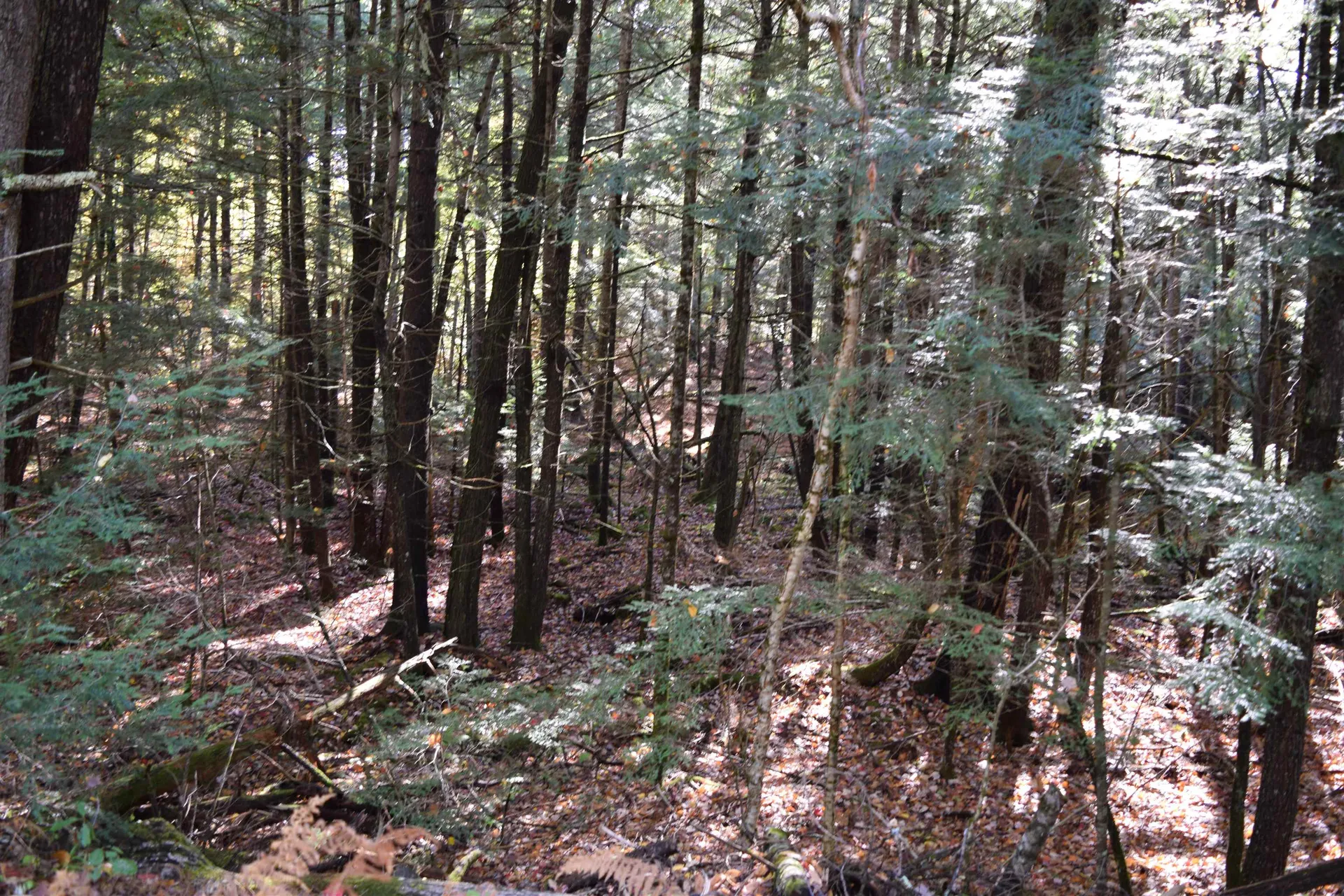 Lot 185 Hanover Drive Haverhill NH 03765