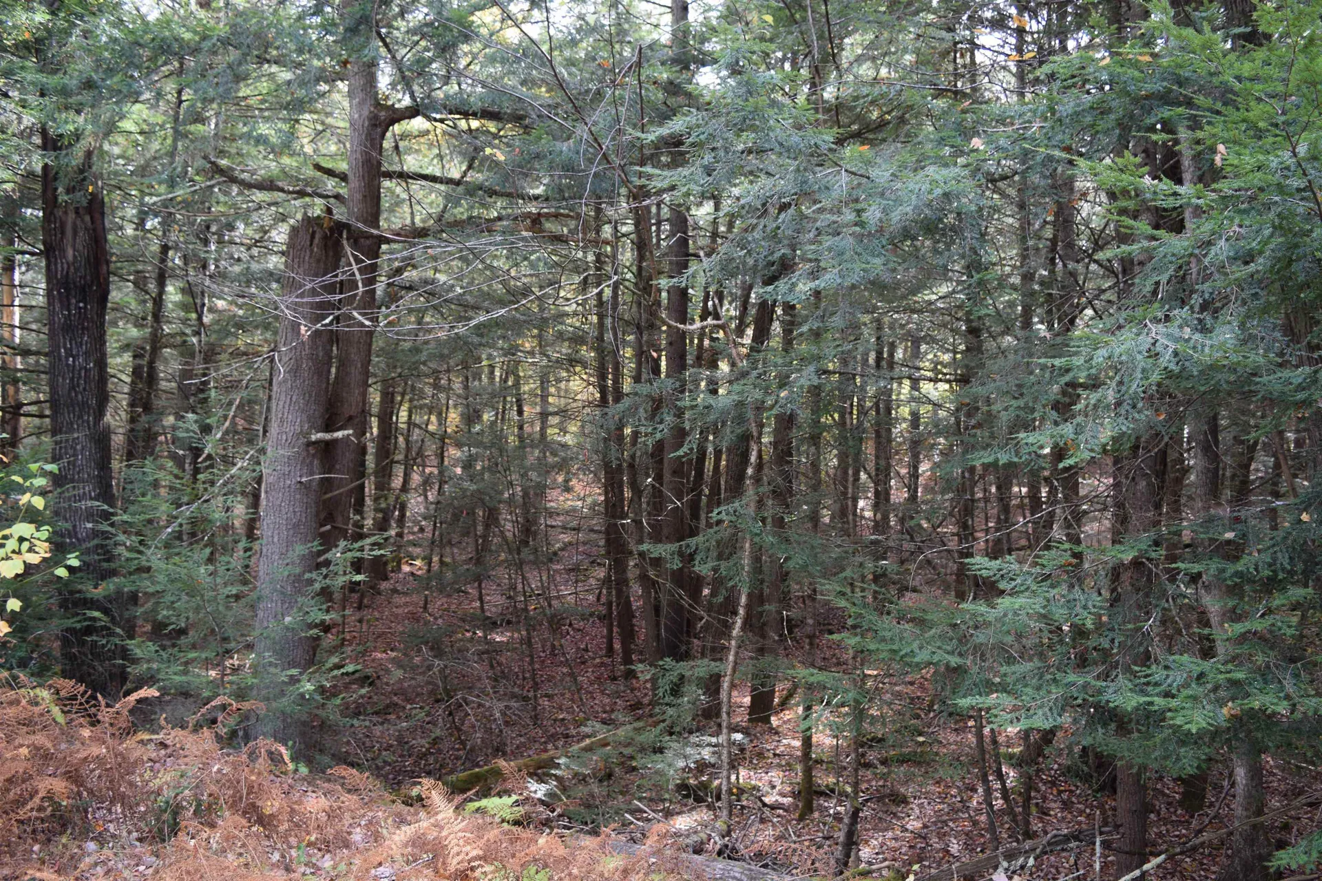 Lot 185 Hanover Drive Haverhill NH 03765