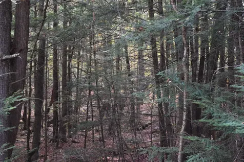 Lot 185 Hanover Drive Haverhill NH 03765