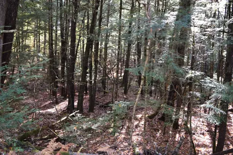 Lot 185 Hanover Drive Haverhill NH 03765