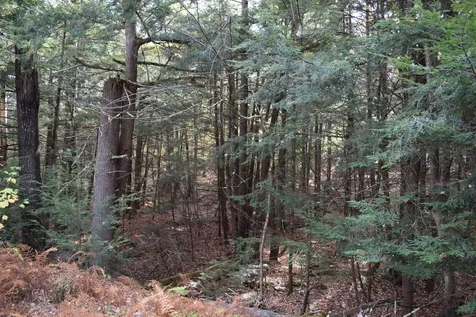 Lot 185 Hanover Drive Haverhill NH 03765