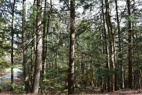 Lot 185 Hanover Drive Haverhill NH 03765