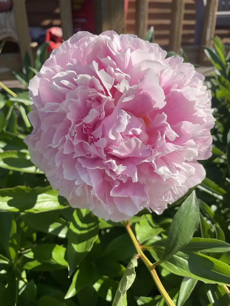 10690 Vermont Route 111 Morgan VT 05853