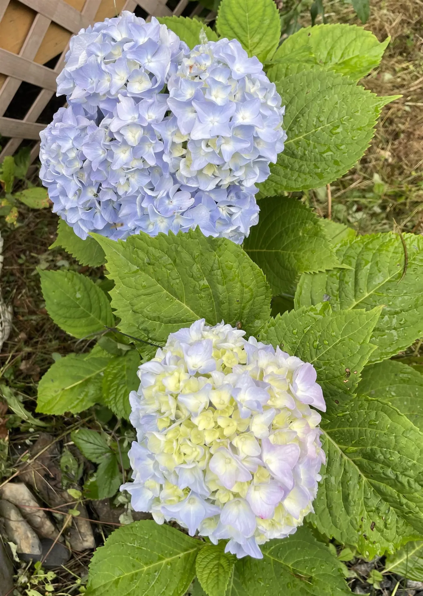 10690 Vt Route 111 Morgan VT 05853