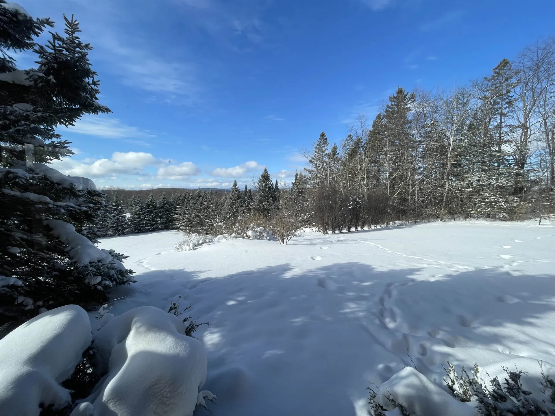 10690 Vt Route 111 Morgan VT 05853