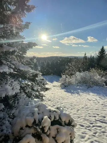 10690 Vermont Route 111 Morgan VT 05853