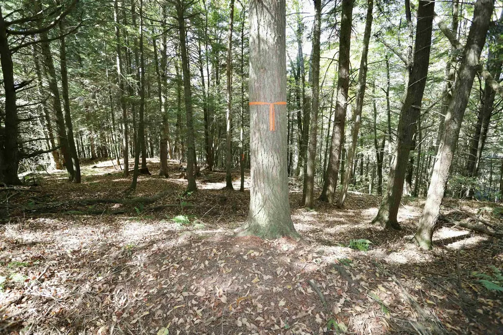 0 Pine Hill Road Coventry VT 05855