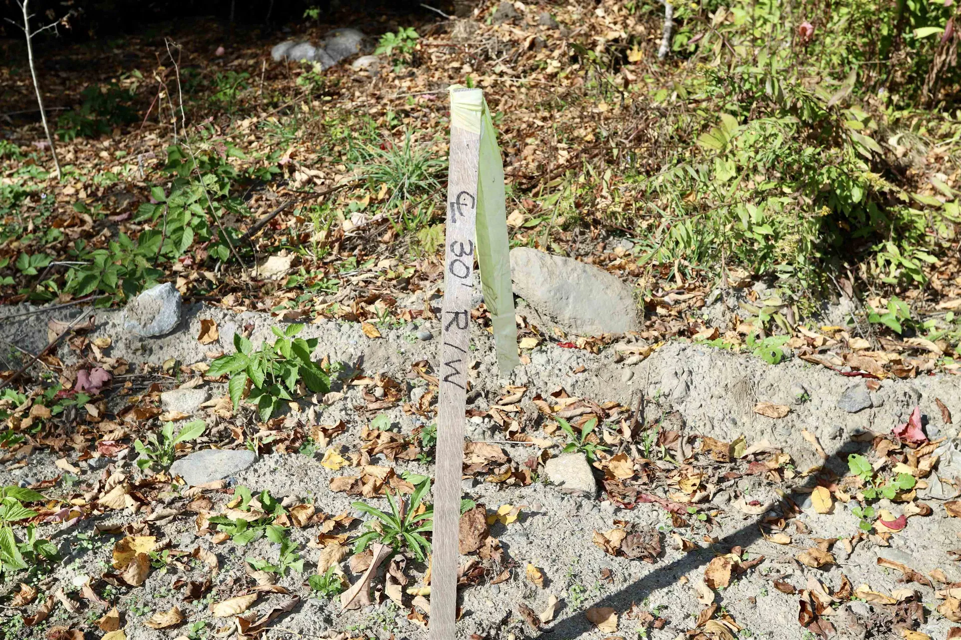 0 Pine Hill Road Coventry VT 05855