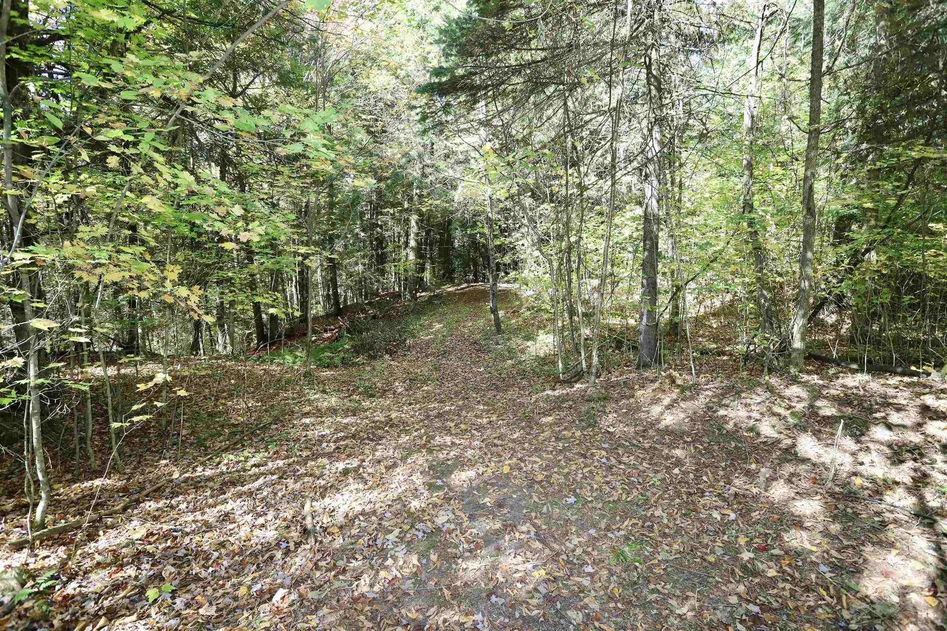 0 Pine Hill Road Coventry VT 05855