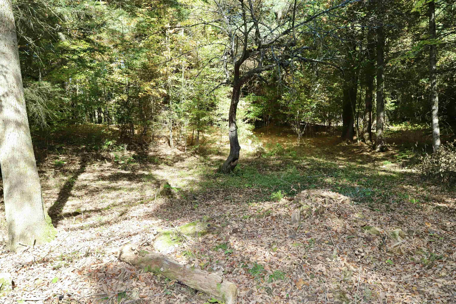 0 Pine Hill Road Coventry VT 05855