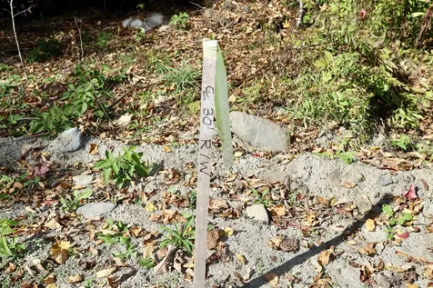 0 Pine Hill Road Coventry VT 05855