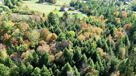 0 Pine Hill Road Coventry VT 05855