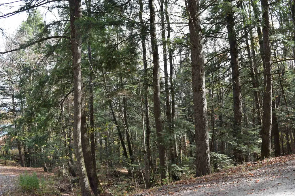 Lot 14 Hanover Drive Haverhill NH 03765