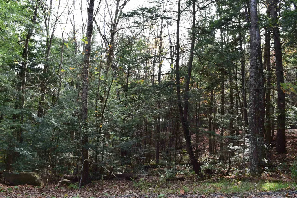 Lot 14 Hanover Drive Haverhill NH 03765