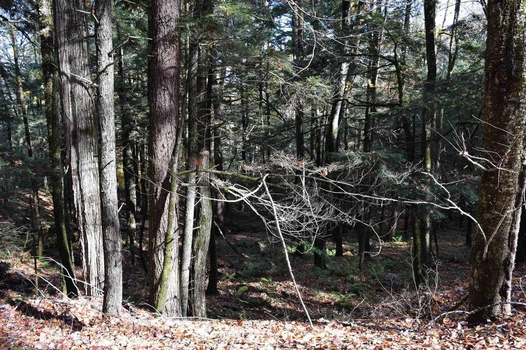 Lot 14 Hanover Drive Haverhill NH 03765