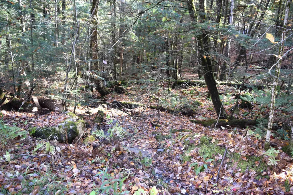 Lot 14 Hanover Drive Haverhill NH 03765