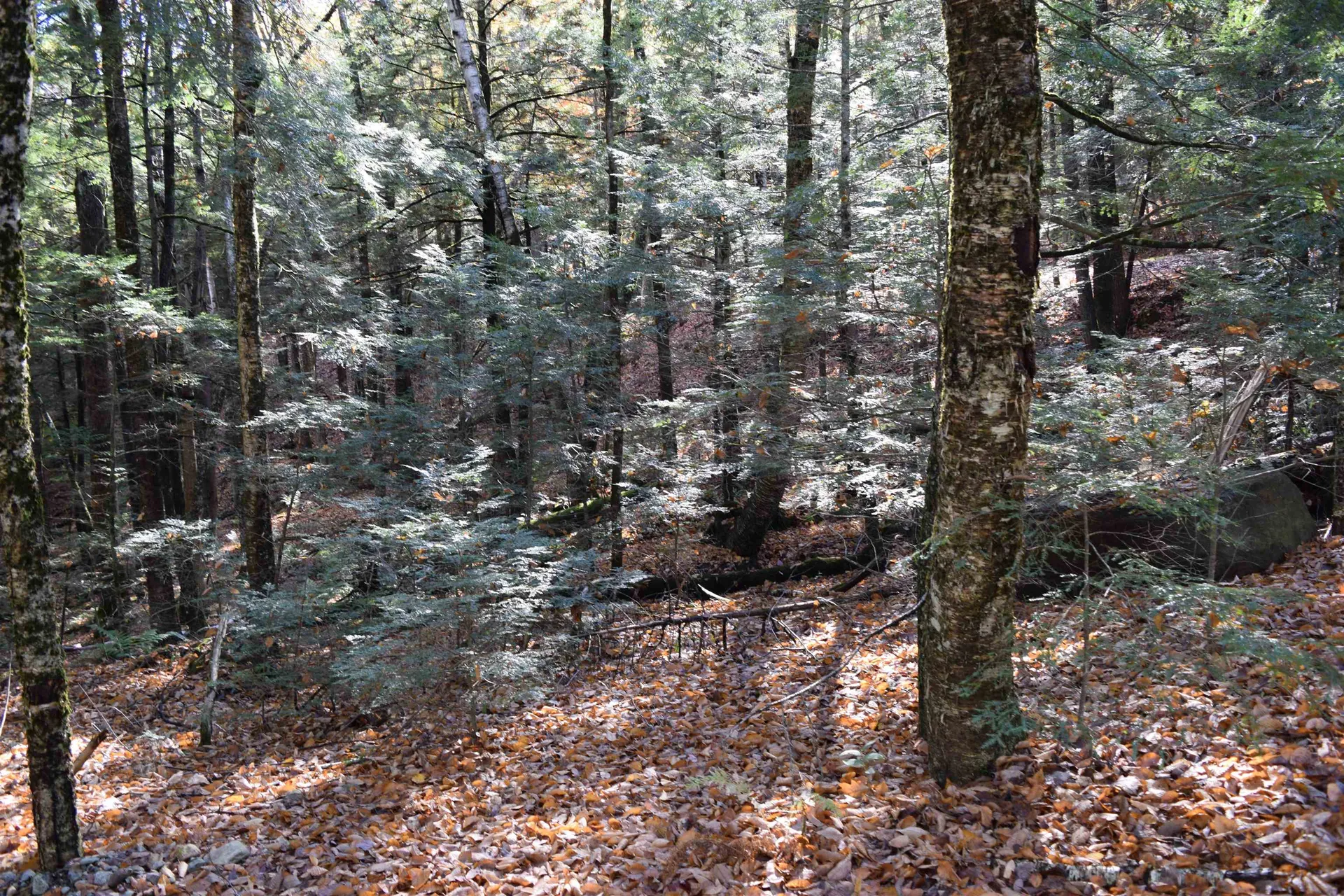 Lot 14 Hanover Drive Haverhill NH 03765