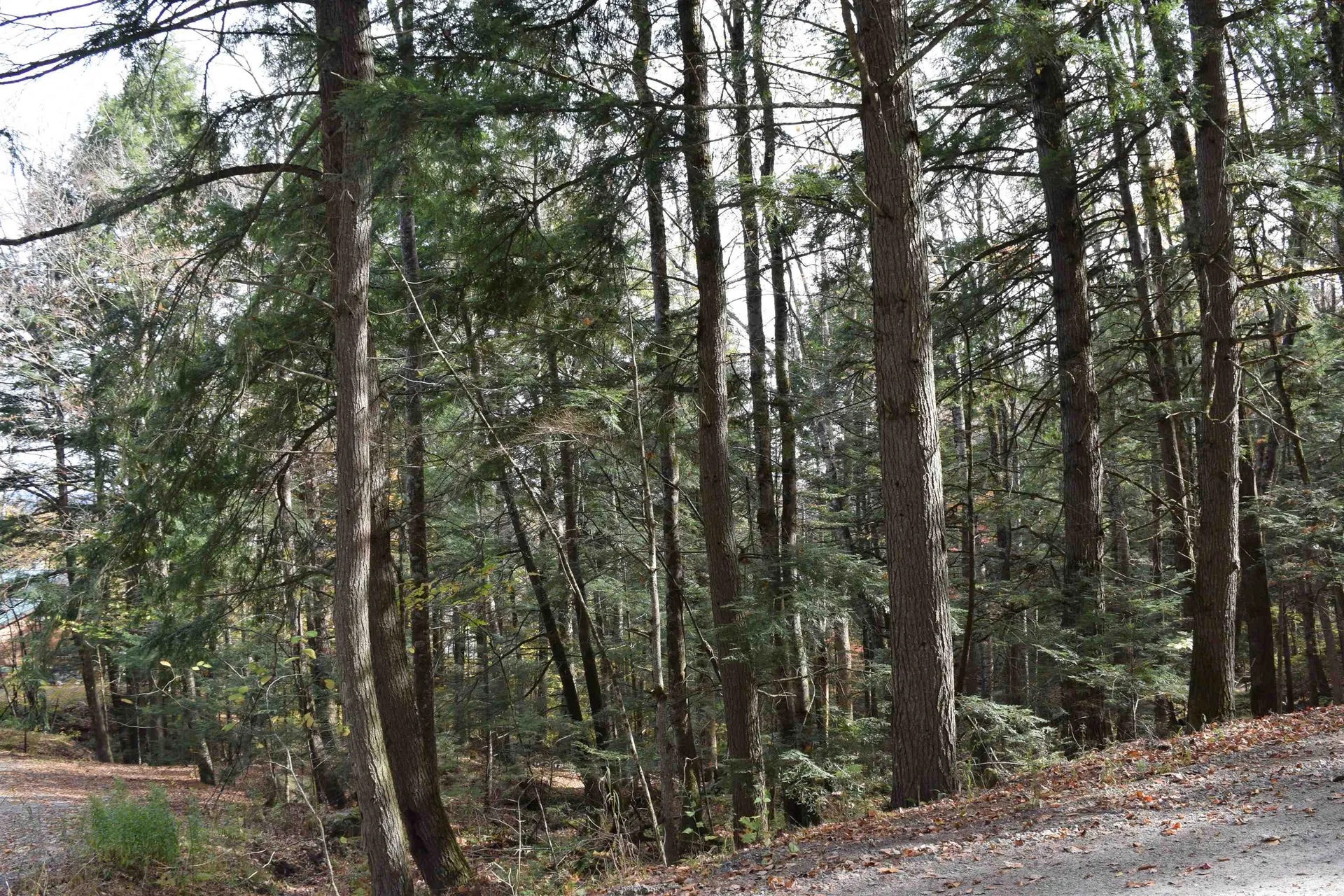 Lot 14 Hanover Drive Haverhill NH 03765