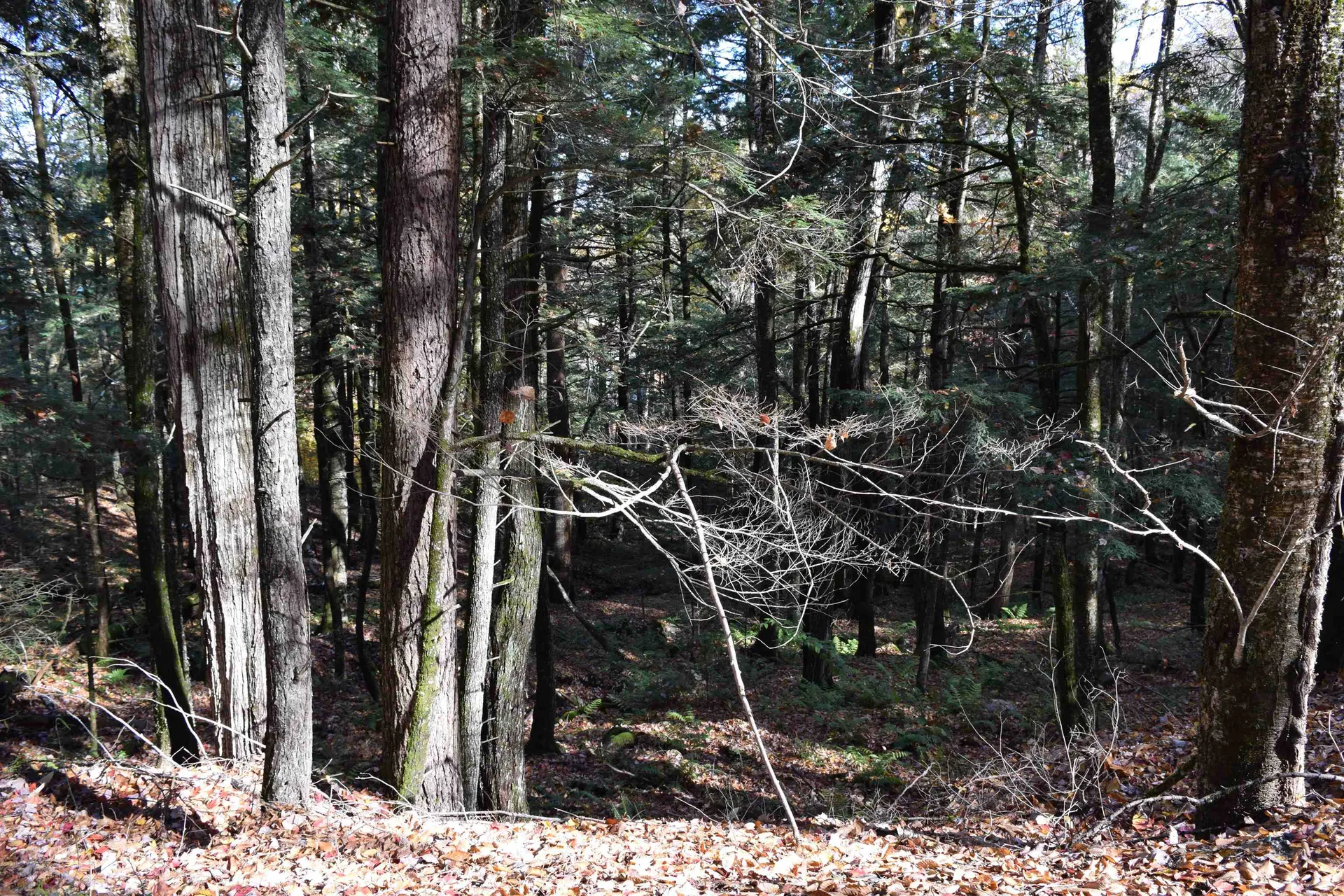 Lot 14 Hanover Drive Haverhill NH 03765