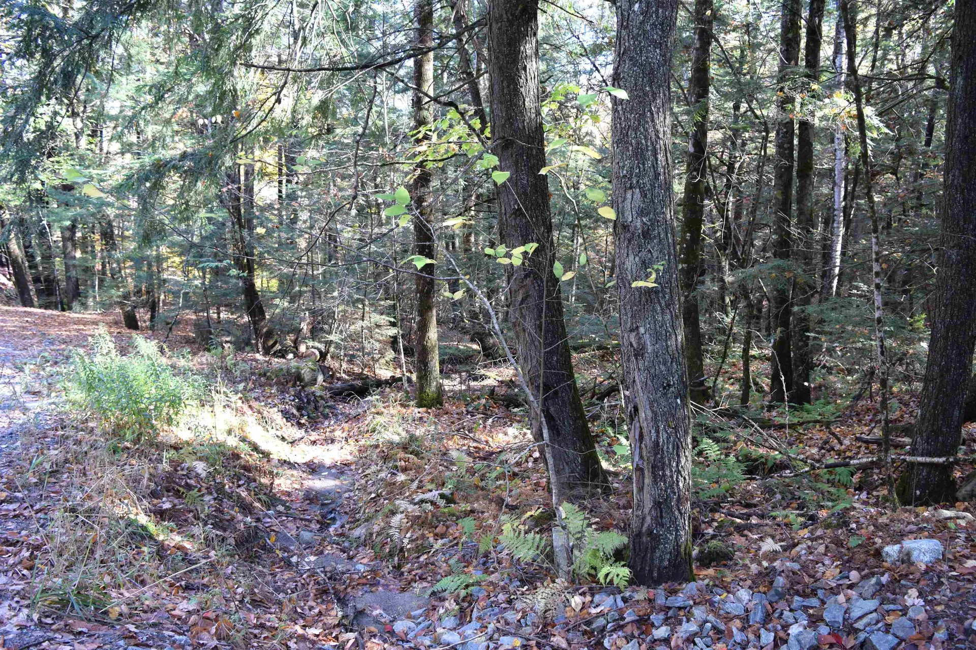 Lot 14 Hanover Drive Haverhill NH 03765