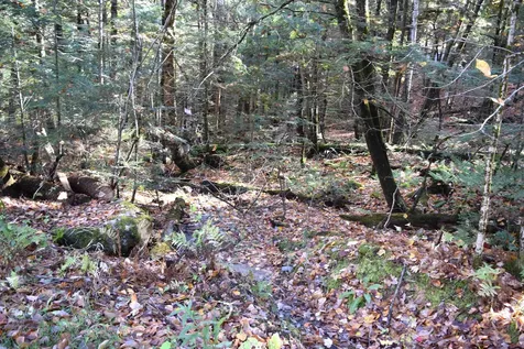 Lot 14 Hanover Drive Haverhill NH 03765