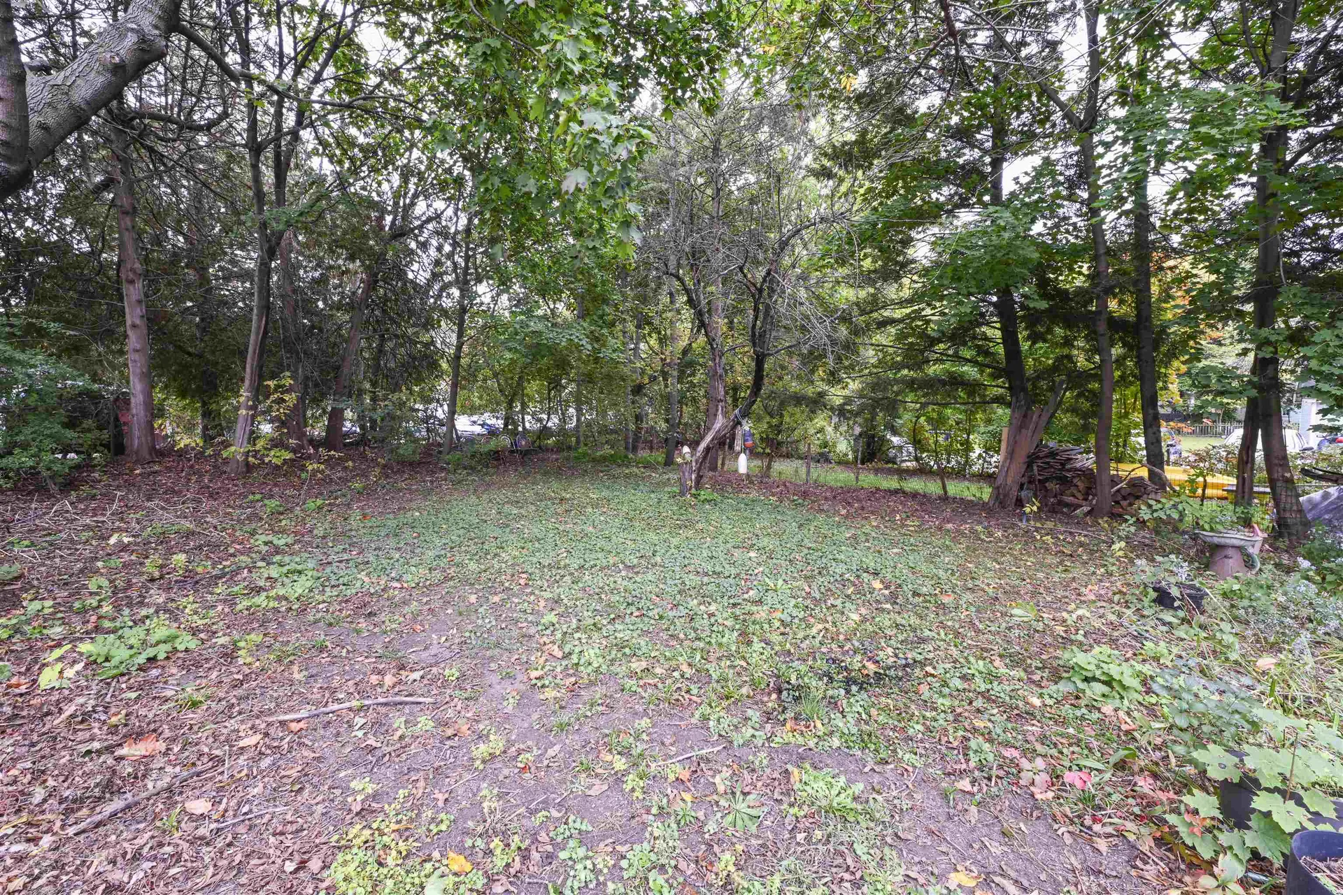 12 East Avenue Burlington VT 05401