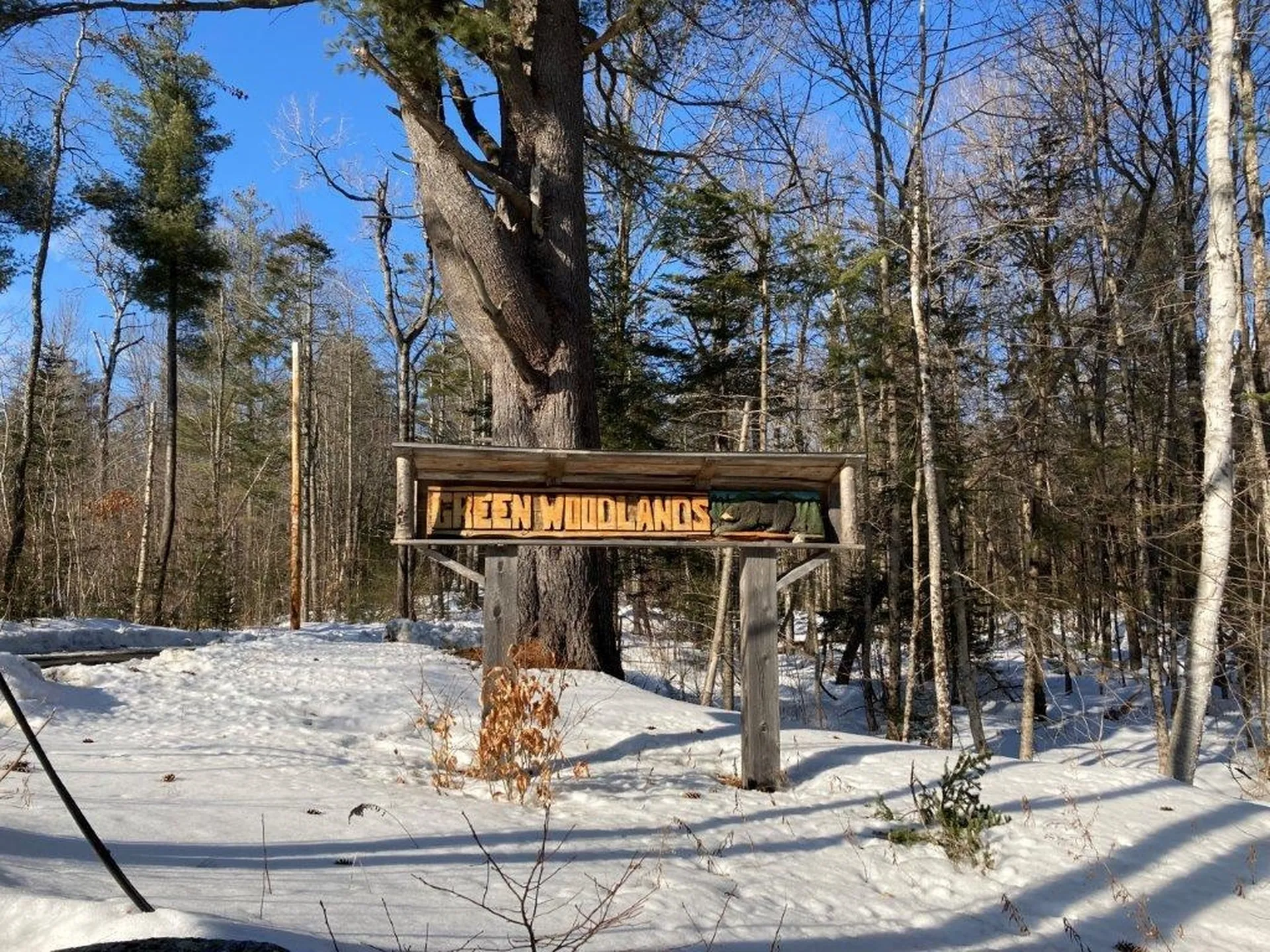 9 Dove Lane Canaan NH 03741