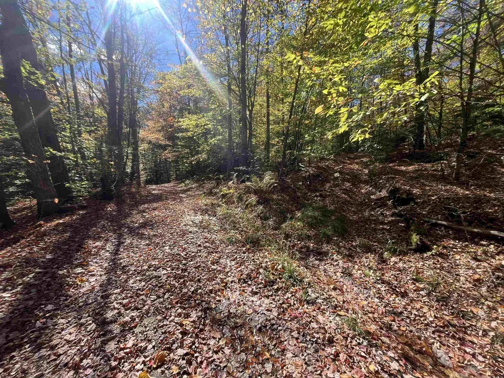 00 Messier Hill Road Roxbury VT 05669