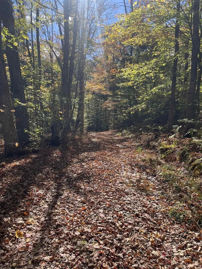 00 Messier Hill Road Roxbury VT 05669