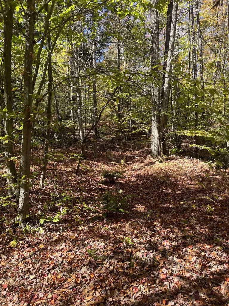 00 Messier Hill Road Roxbury VT 05669