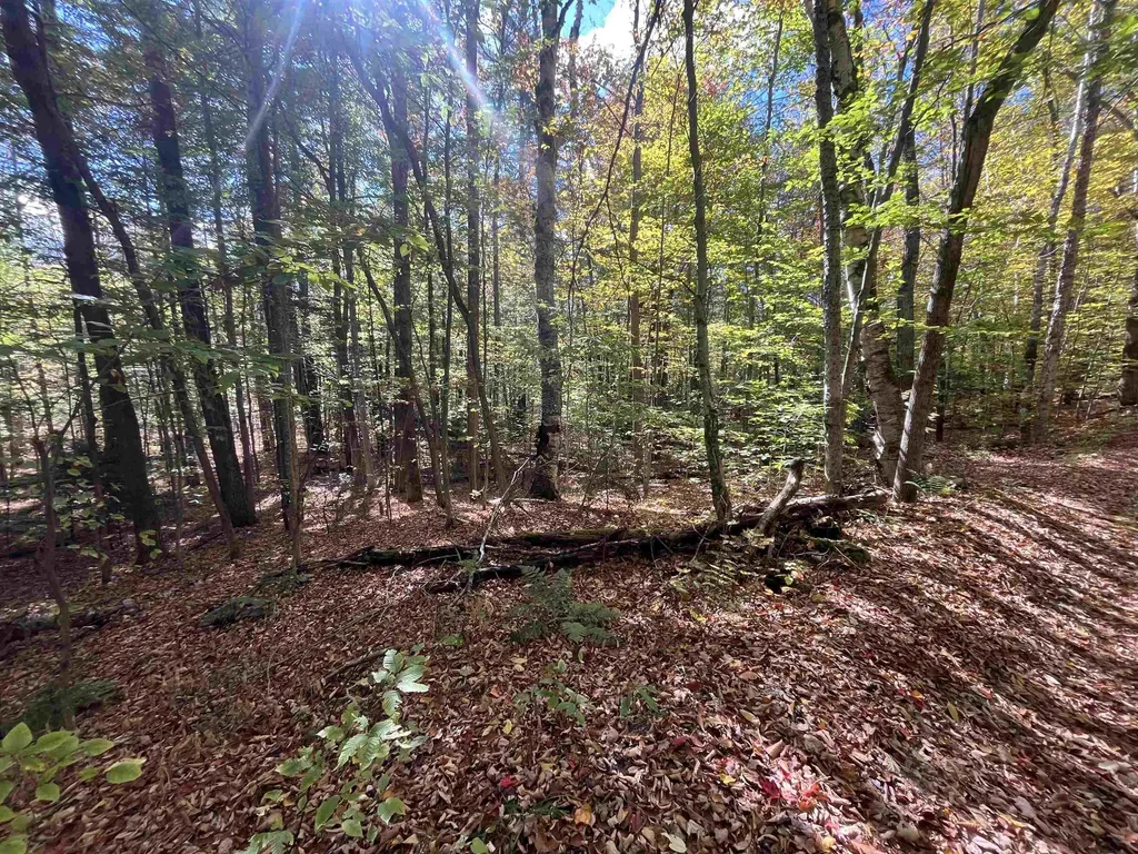 00 Messier Hill Road Roxbury VT 05669