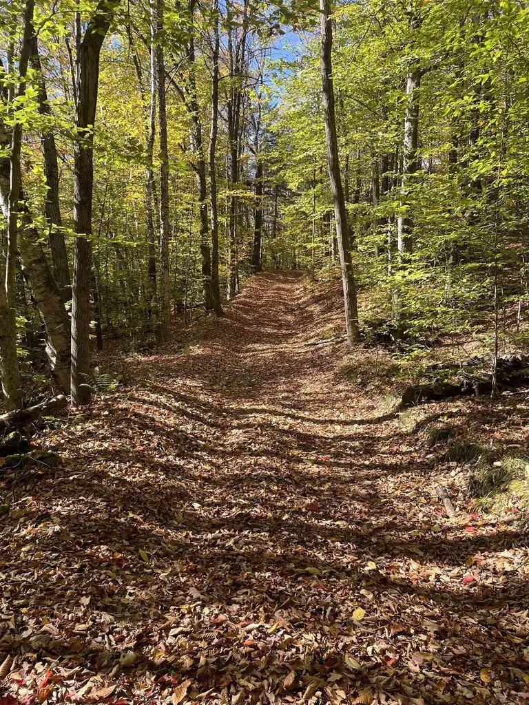 00 Messier Hill Road Roxbury VT 05669