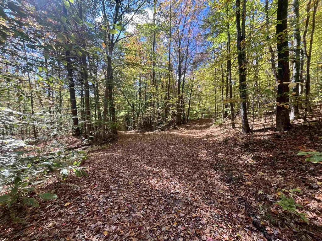 00 Messier Hill Road Roxbury VT 05669