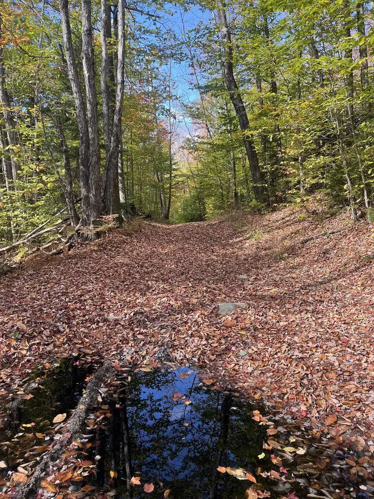 00 Messier Hill Road Roxbury VT 05669