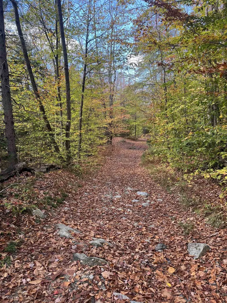 00 Messier Hill Road Roxbury VT 05669