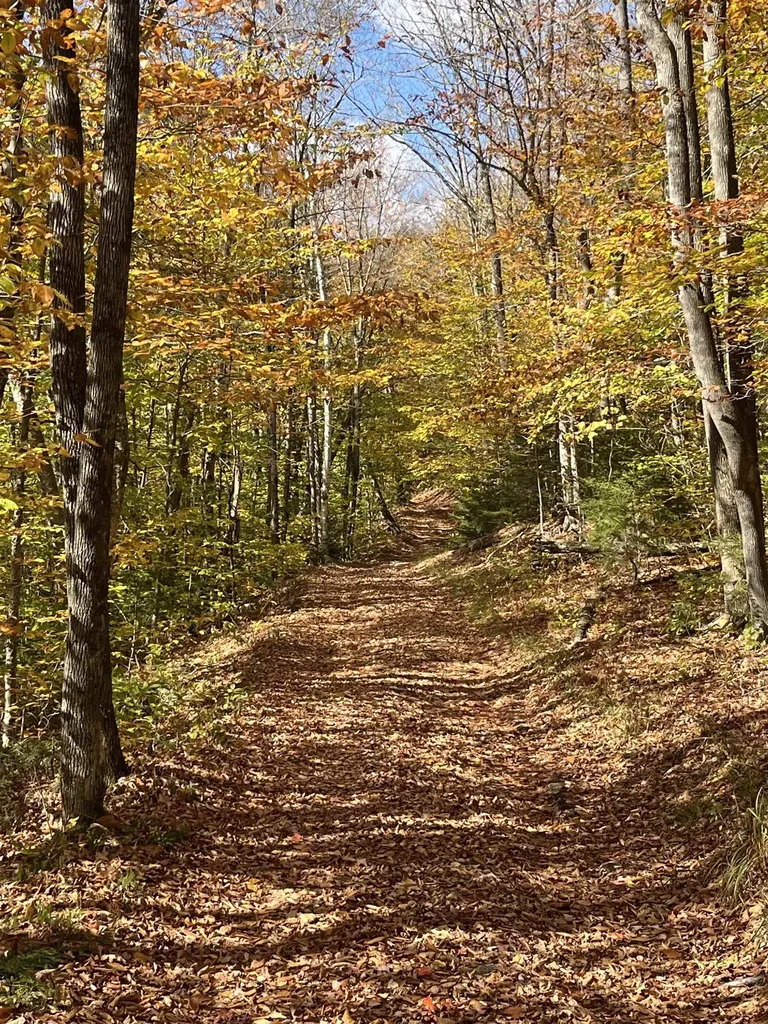 00 Messier Hill Road Roxbury VT 05669