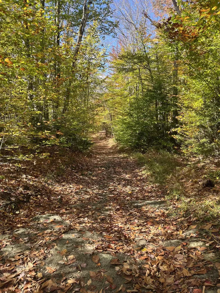 00 Messier Hill Road Roxbury VT 05669