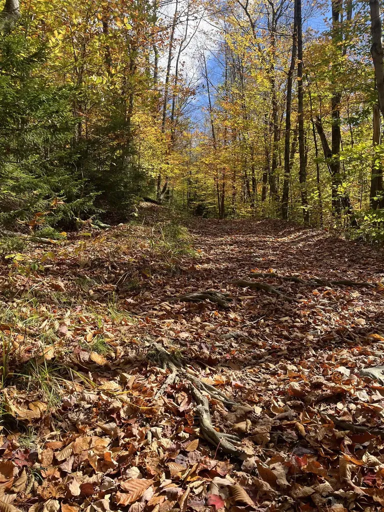 00 Messier Hill Road Roxbury VT 05669