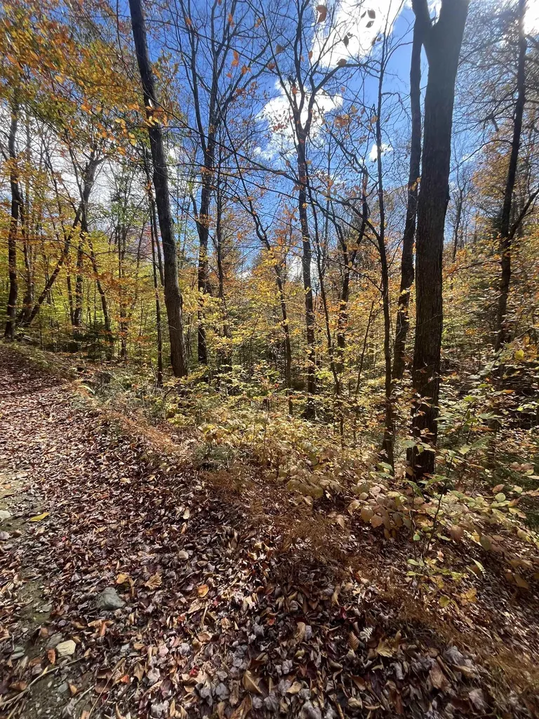 00 Messier Hill Road Roxbury VT 05669