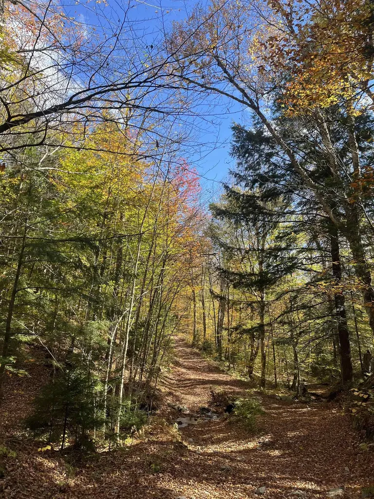 00 Messier Hill Road Roxbury VT 05669