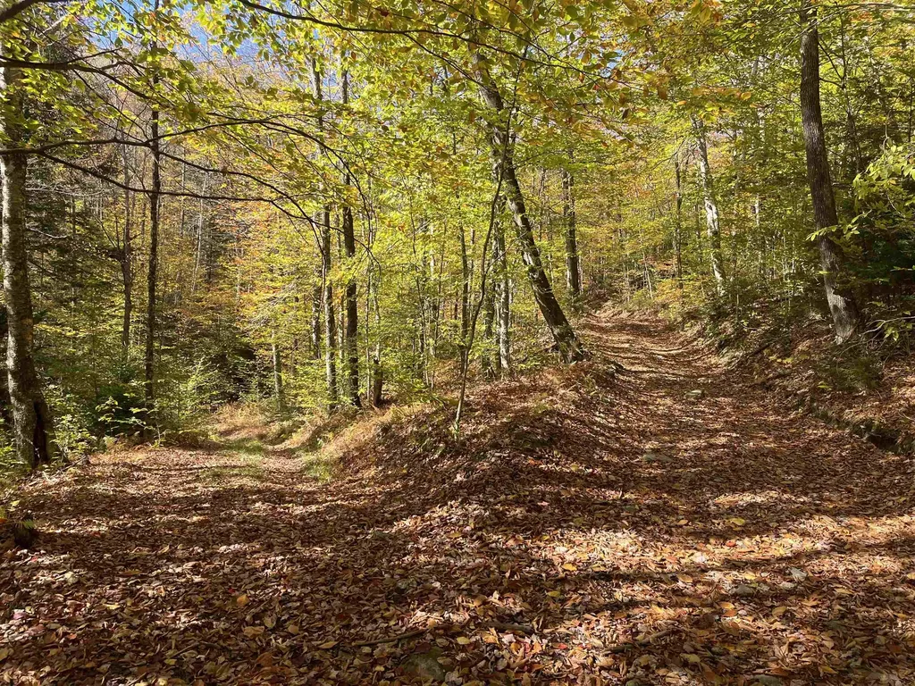 00 Messier Hill Road Roxbury VT 05669