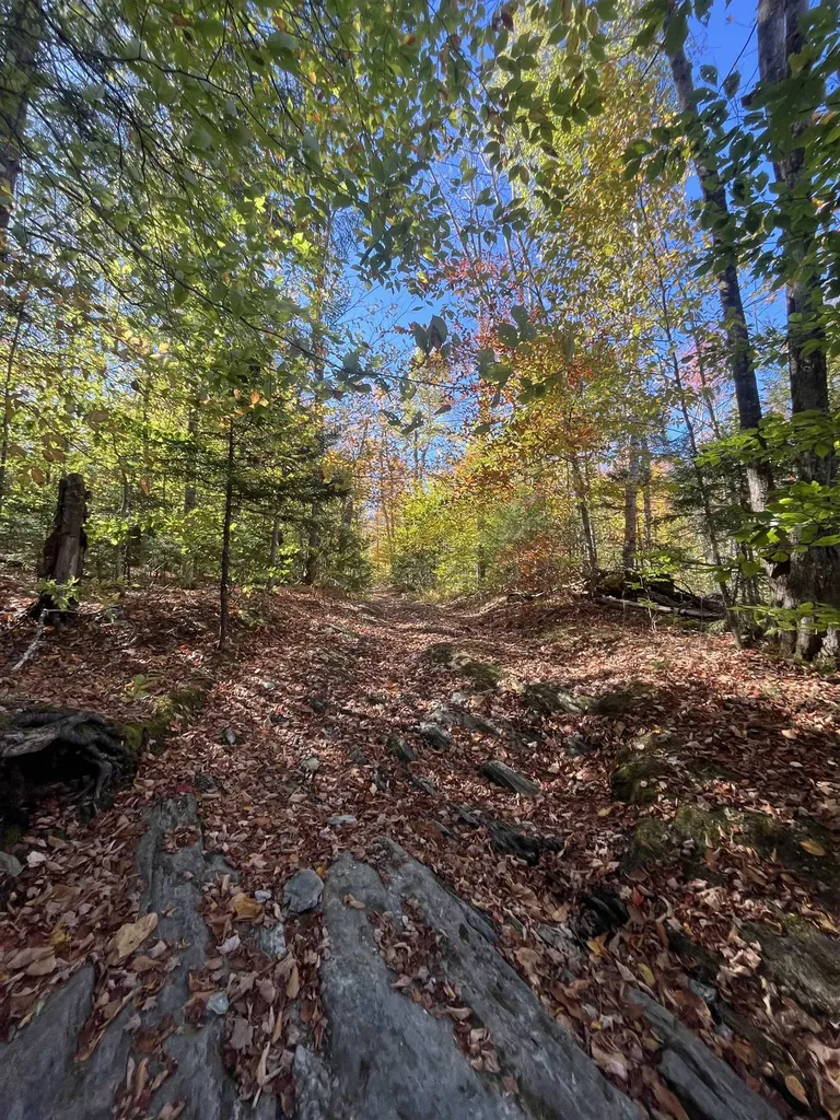 00 Messier Hill Road Roxbury VT 05669