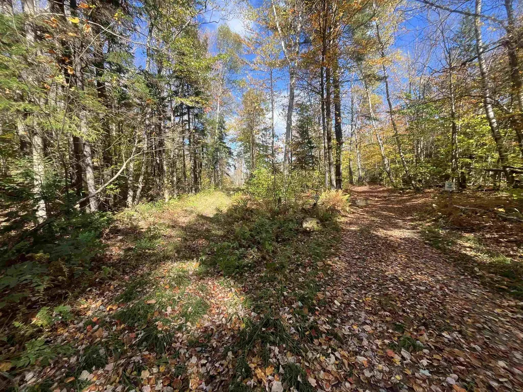 00 Messier Hill Road Roxbury VT 05669