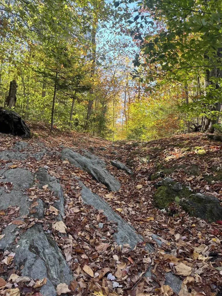 00 Messier Hill Road Roxbury VT 05669